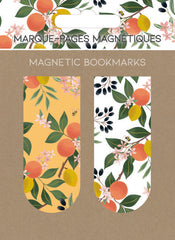 MARCAPAGINAS MAGNETICOS ORANGES NARANJAS | 6 UNIDADES | (PICTURA)