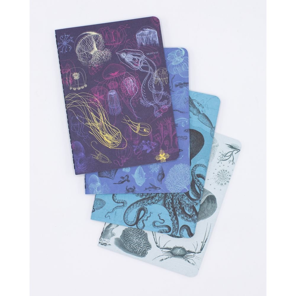 Set 4 Cuadernos Bolsillo A6 Fondo Marino Cognitive Ciencia