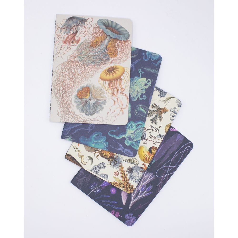 Set de 4 cuadernos bolsillo animales marinos Cognitive Ciencia