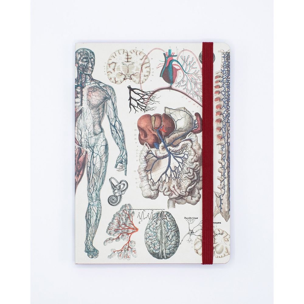 Notebook tapa blanda A5 anatomía Cognitive Ciencia Imagen principal del producto