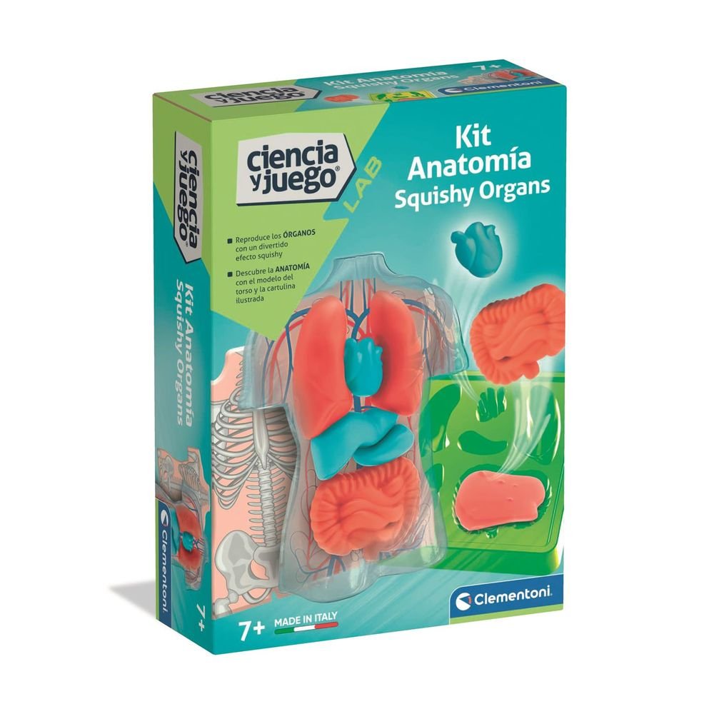 Juego Clementoni Kit Anatomía Squishy Organs Imagen principal del producto