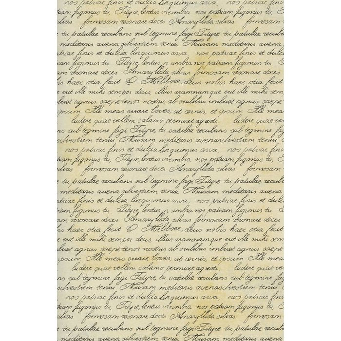 PAPEL REGALO BOBINA 62CMS TEXTO LATIN | SADOCH | 1 UNIDAD | 8006715235999