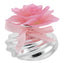 Esfera Plateada con Difusor Rosa de Madera Rosa Bagutta