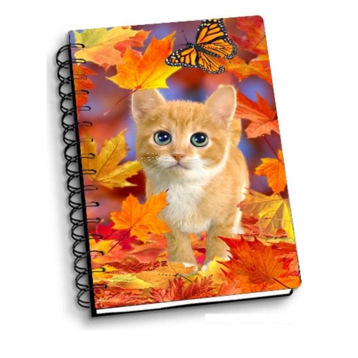 Libreta espiral A6 Fall Kitten Cat 3D ARTGAME Imagen principal del producto