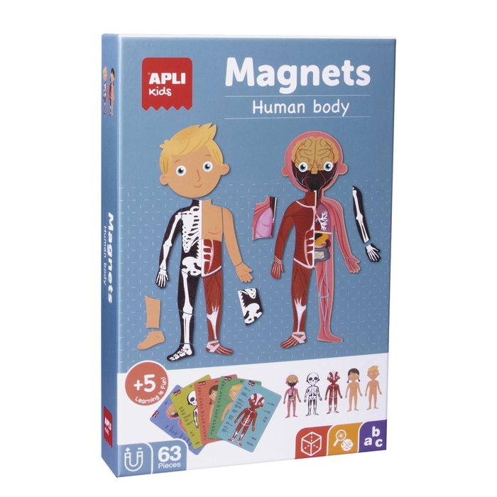MAGNETS EL CUERPO HUMANO | APLI JUEGOS | 1 UNIDAD | 8410782185314