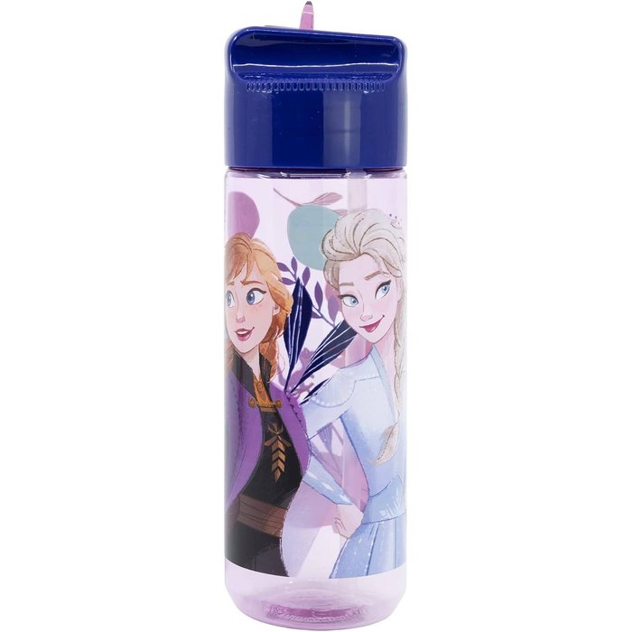 BOTELLA ECOZEN HIDRO GRANDE 540 ML FROZEN TRUST THE JOURNE | STOR | 1 UNIDAD | 8412497742233