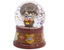 Bola de Nieve Harry Potter en Estuche Young Adult de STOR