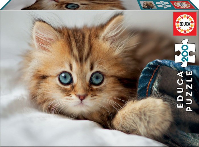 PUZZLE 200 PIEZAS GATITO | EDUCA-BORRAS | 1 UNIDAD | 8412668171541 Imagen principal del producto