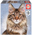 Puzzle Maine Coon 100 piezas Educa Borras