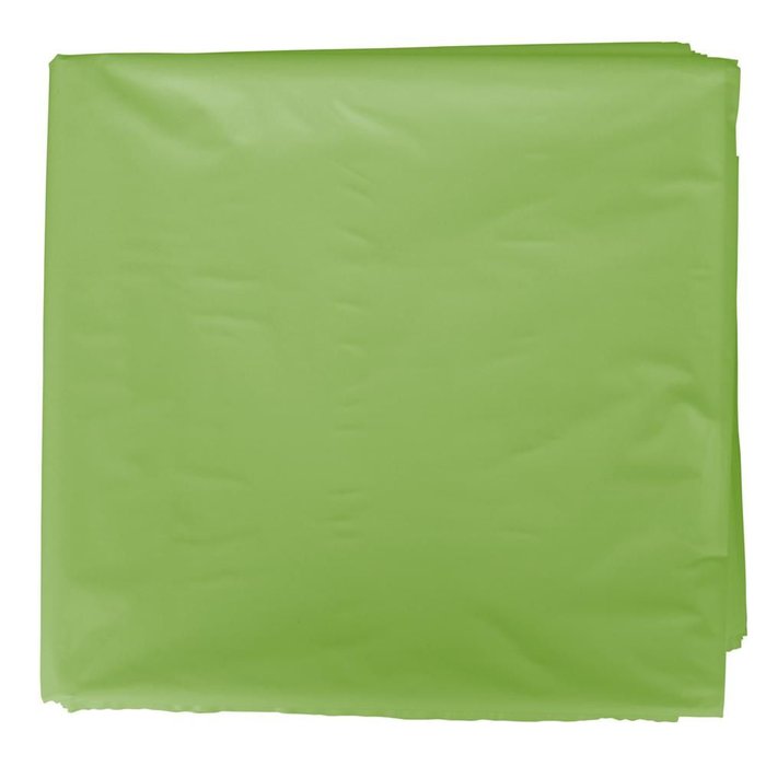 Bolsa Disfraz 56x70cm 25 Unidades Verde Claro GRAFOPLAS Imagen principal del producto