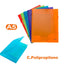 CARPETA GOMAS 3 SOLAPAS A5 PP COLORES OPACOS SURTIDO KATHAY | 12 UNIDADES | (GRAFOPLAS)