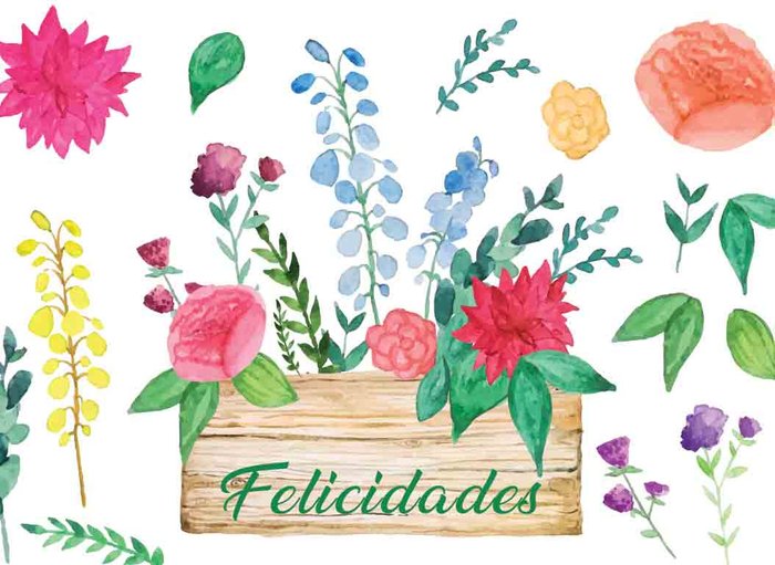 MINI CARD FLORES FELICIDADES | ARGUVAL, S,L, | ENVASE 25 UDS. UNIDAD | 8421363467057