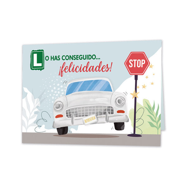 POSTAL CARNET DE CONDUCIR | ARGUVAL, S,L, | ENVASE 10 UDS. UNIDAD | 8421363476431