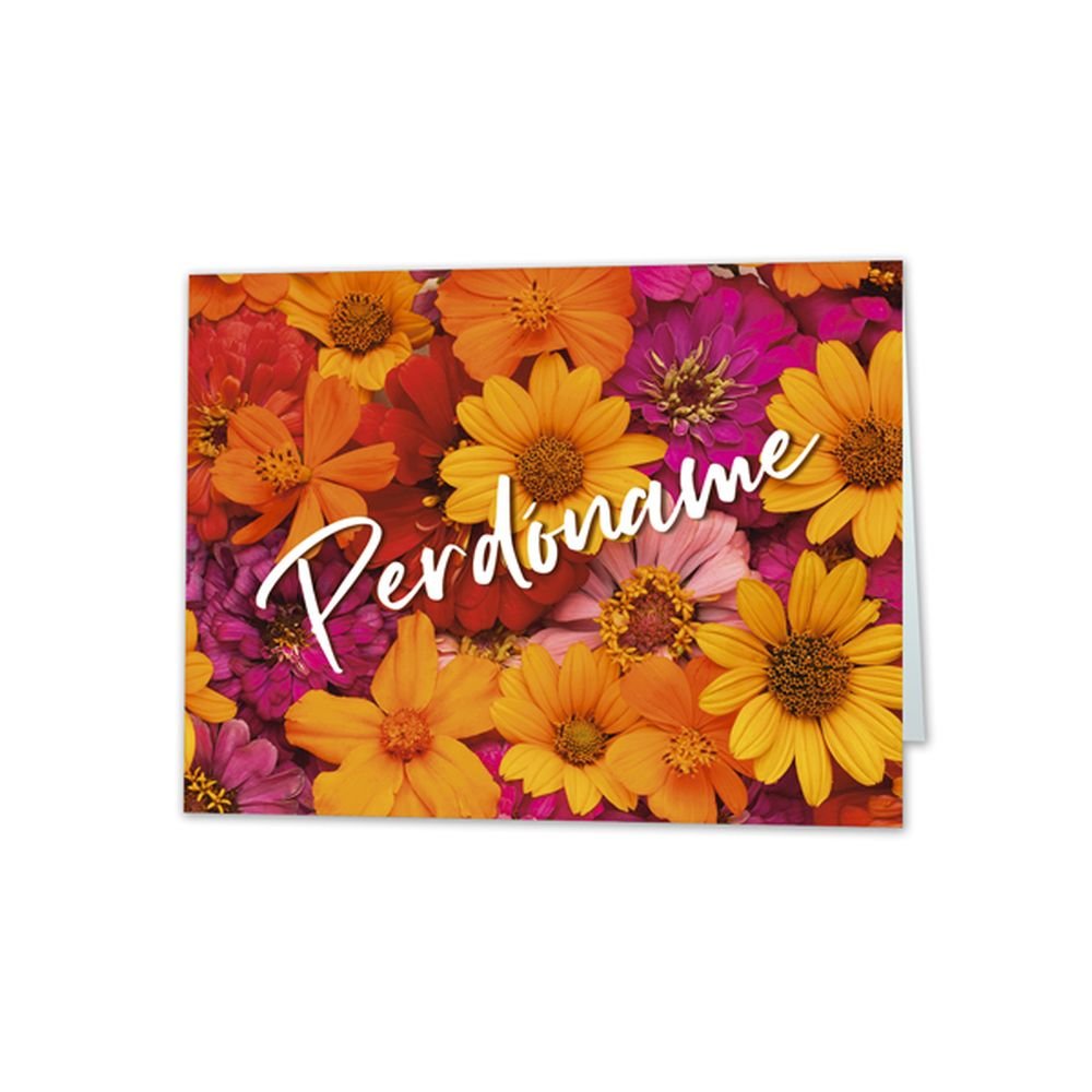 Tarjeta Mini Card 66x90 cm Perdóname Marca Arguval Todo Año Pack 1 Imagen principal del producto