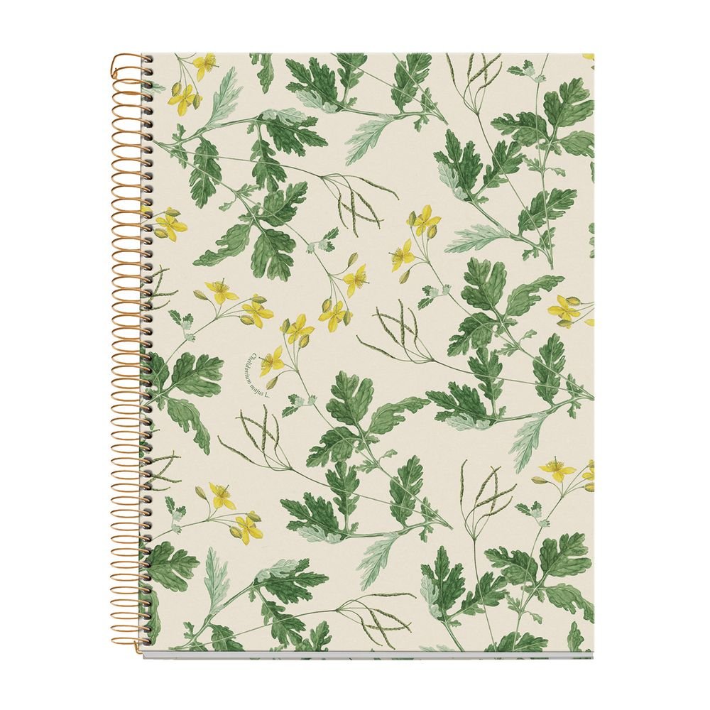 Cuaderno A4 80 H Horizontal 90 Entredos Chelindonium MIQUELRIUS Diseño Imagen principal del producto