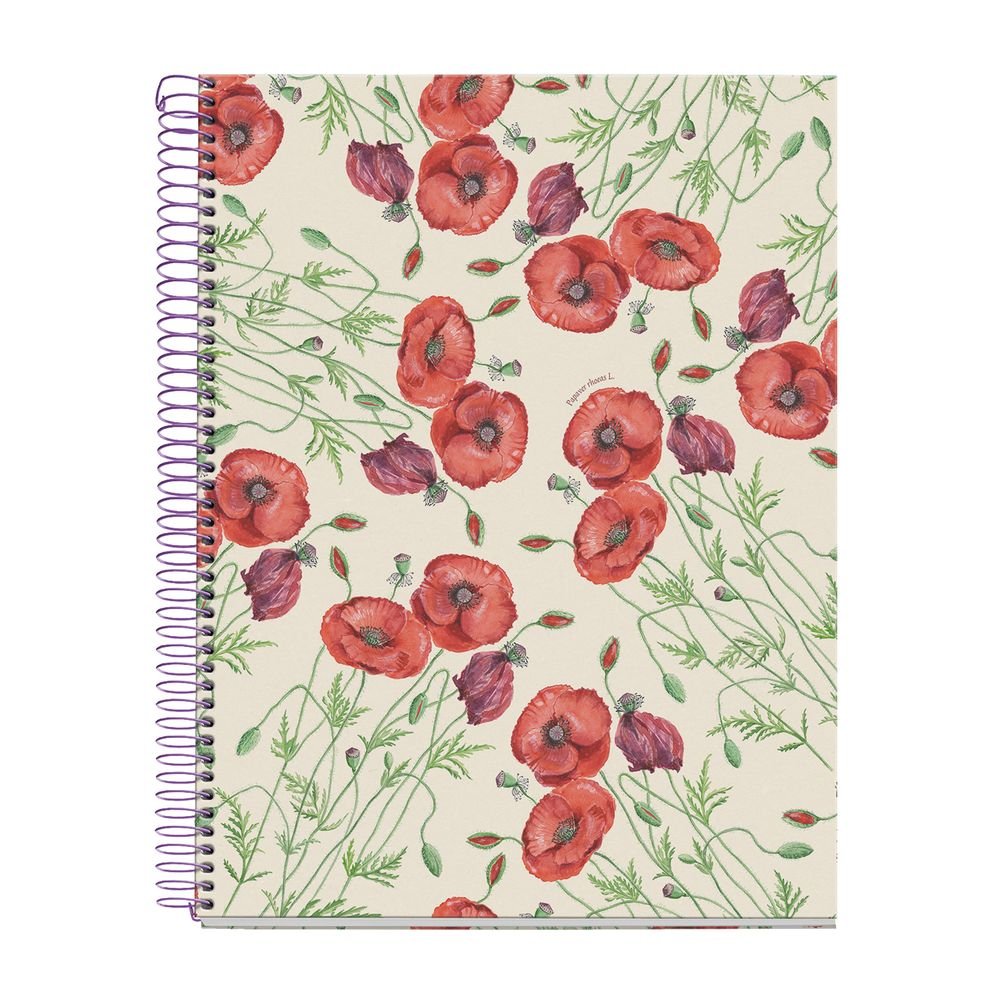 Cuaderno A4 80 H Cuadricula 90 Entredos Miquelrius Diseño