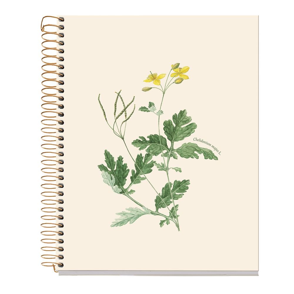 Cuaderno A5 80 H Liso 90 Entredos Chelindonium Miquelrius Diseño