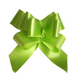 LAZO AUTOMATICO 2200 31MM VERDE | EUROCINSA | 1 UNIDAD | 8422917216350