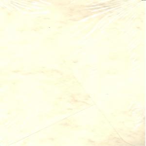 SOBRE MARMOLEADO 11X22 BEIGE | 25 UNIDADES | (MICHEL PAPELES ESPECIALES) Imagen principal del producto