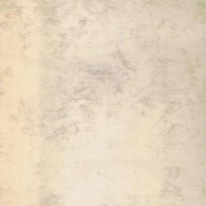 Pergamino A3 Troquelado 2601 Marmol Beige Michel Imagen principal del producto