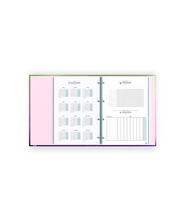 RECAMBIO 100H A4 PAPEL 90GRS CON BONUS BANDAS 5 COLORES 5X5 | 1 UNIDADES | (CARCHIDEA, S,L,)