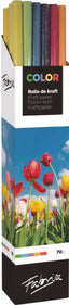 Pack 20 Rollos Papel Kraft Verjurado Colores Metálicos Surtidos Fabrisa