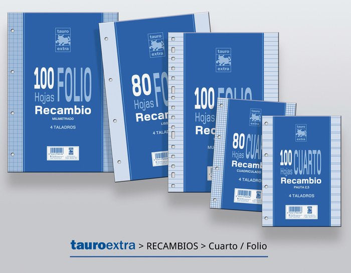 Recambio folio 100H multitaladro cuadro 4mm 60g Manipulados Zorrilla