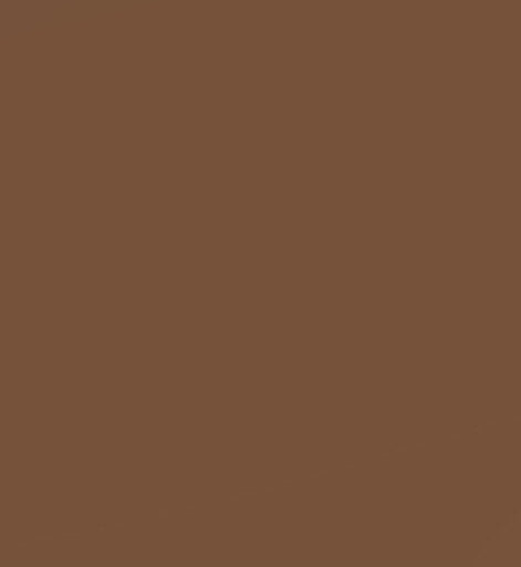LAMINA GOMA EVA 40X60 MARRON | 10 UNIDADES | (FAIBO) Imagen principal del producto
