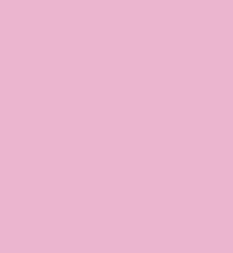 LAMINA GOMA EVA 20X30 ROSA | 10 UNIDADES | (FAIBO) Imagen principal del producto