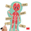 MAXI-PUZLES DESCUBRE E IDENTIFICA EL CUERPO HUMANO | AKROS | 1 UNIDAD | 8426804302508