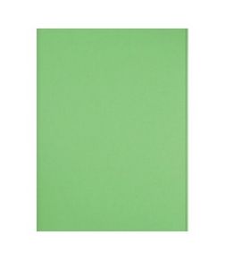 SUBCARPETA FOLIO ELBA 250GR HENDIDURAS VERDE INTENSO | 8 UNIDADES | (GIO) Imagen principal del producto