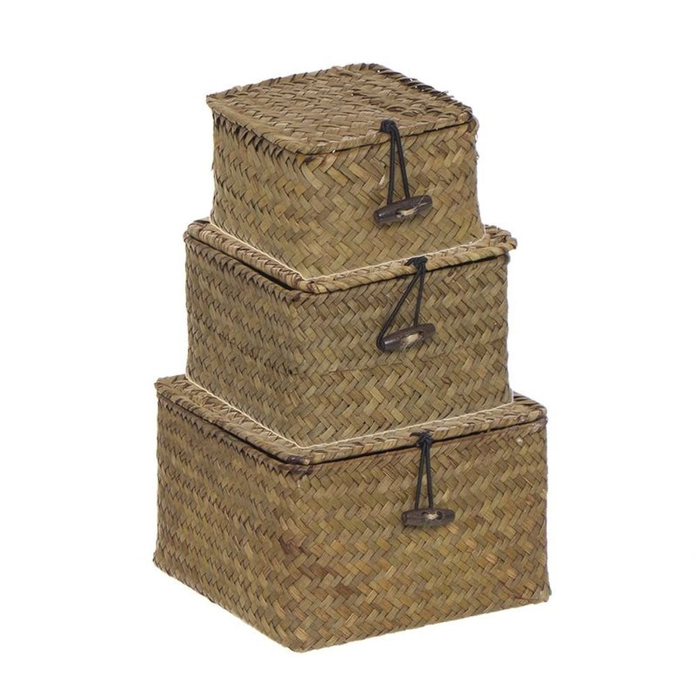 Juego de 3 Cajas con Tapa Natural DCASA Imagen principal del producto