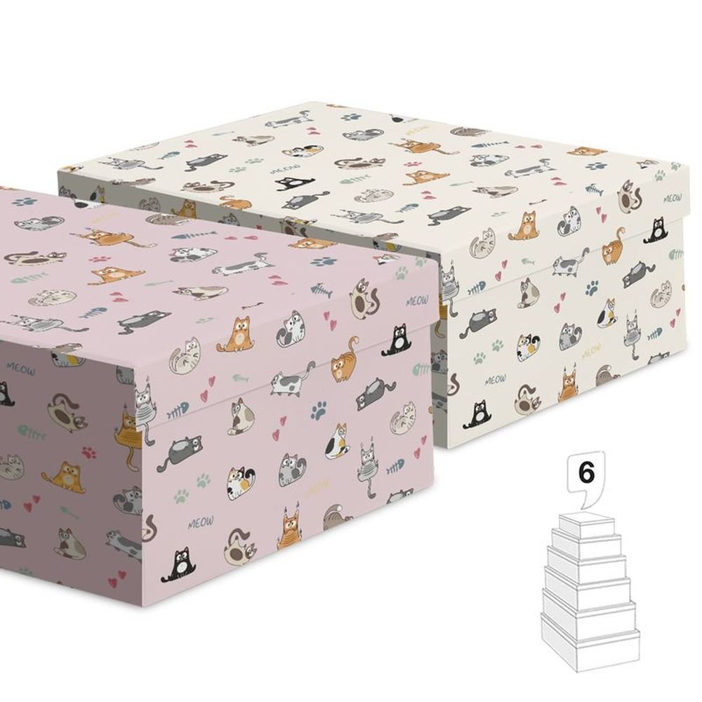 Juego 6 Cajas Gatos Surtidos Papelería del Paseo Imagen principal del producto