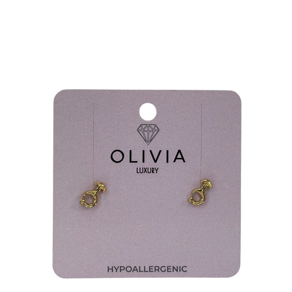 Pendientes Hombre Hipoalergenico Bañado en Oro 24K Olivia Luxury Imagen principal del producto