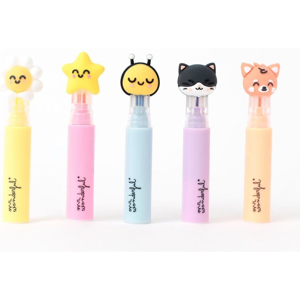 Set de 5 Subrayadores con Estuche Live in Colour MR Wonderful