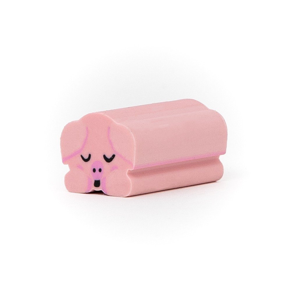 Expositor 12 Gomas de Borrar Lazy Pollito MR WONDERFUL Imagen principal del producto