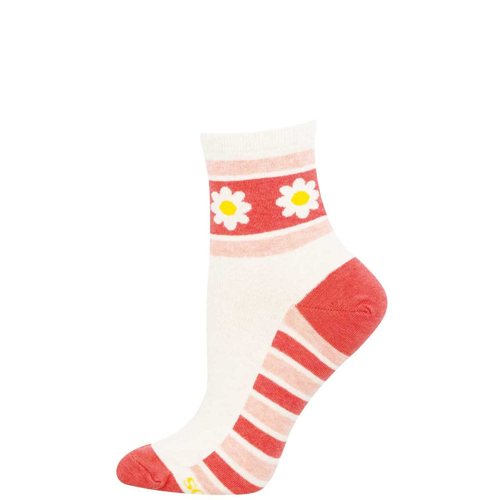 Calcetines algodón media caña Daisy Stripe 36-41 SOCKSMITH Imagen principal del producto