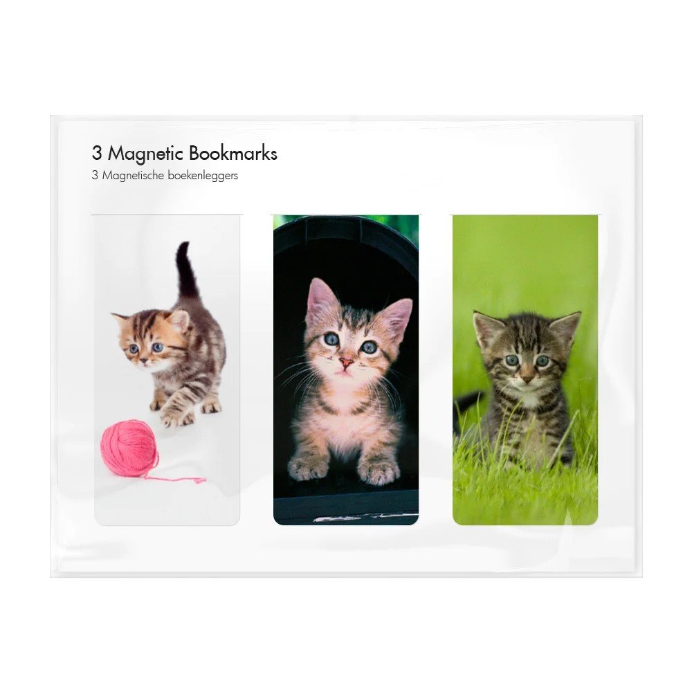 SET 3 MARCAPAGINAS MAGNETICOS FOTOS DE GATOS | 1 UNIDADES | (WEBSHOP ARTE)
