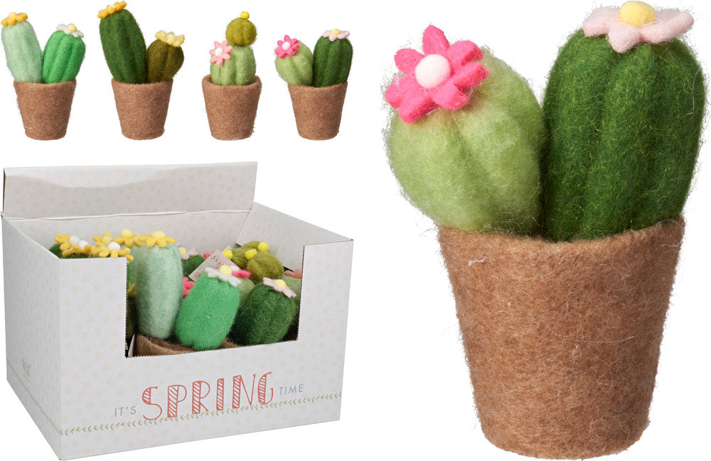 Cactus con Flores en Maceta Fieltro Surtidos Koopman