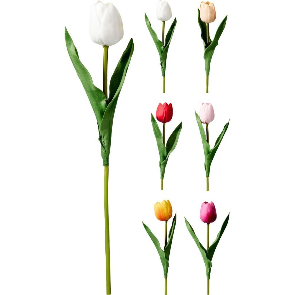 Tulipan 40 cm Colores Surtidos Koopman Imagen principal del producto