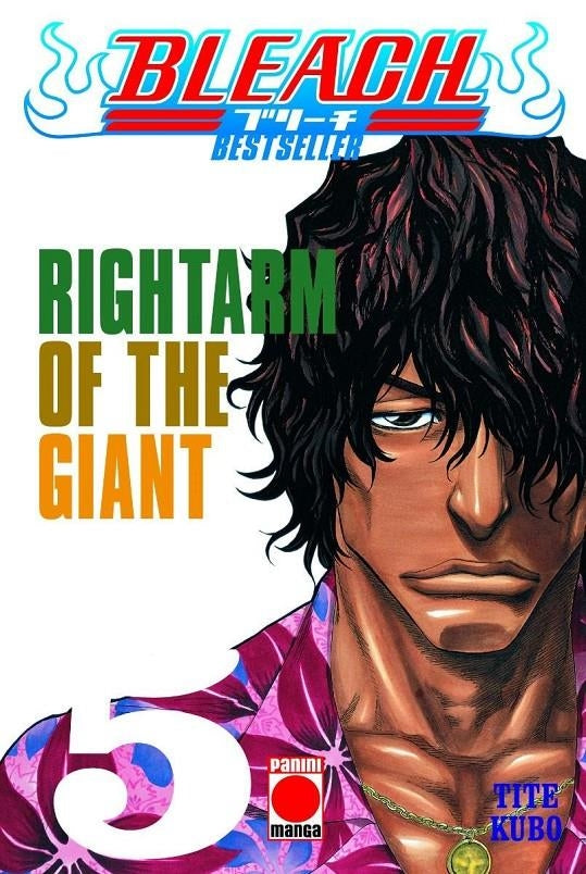 Bleach (bestseller) n.5