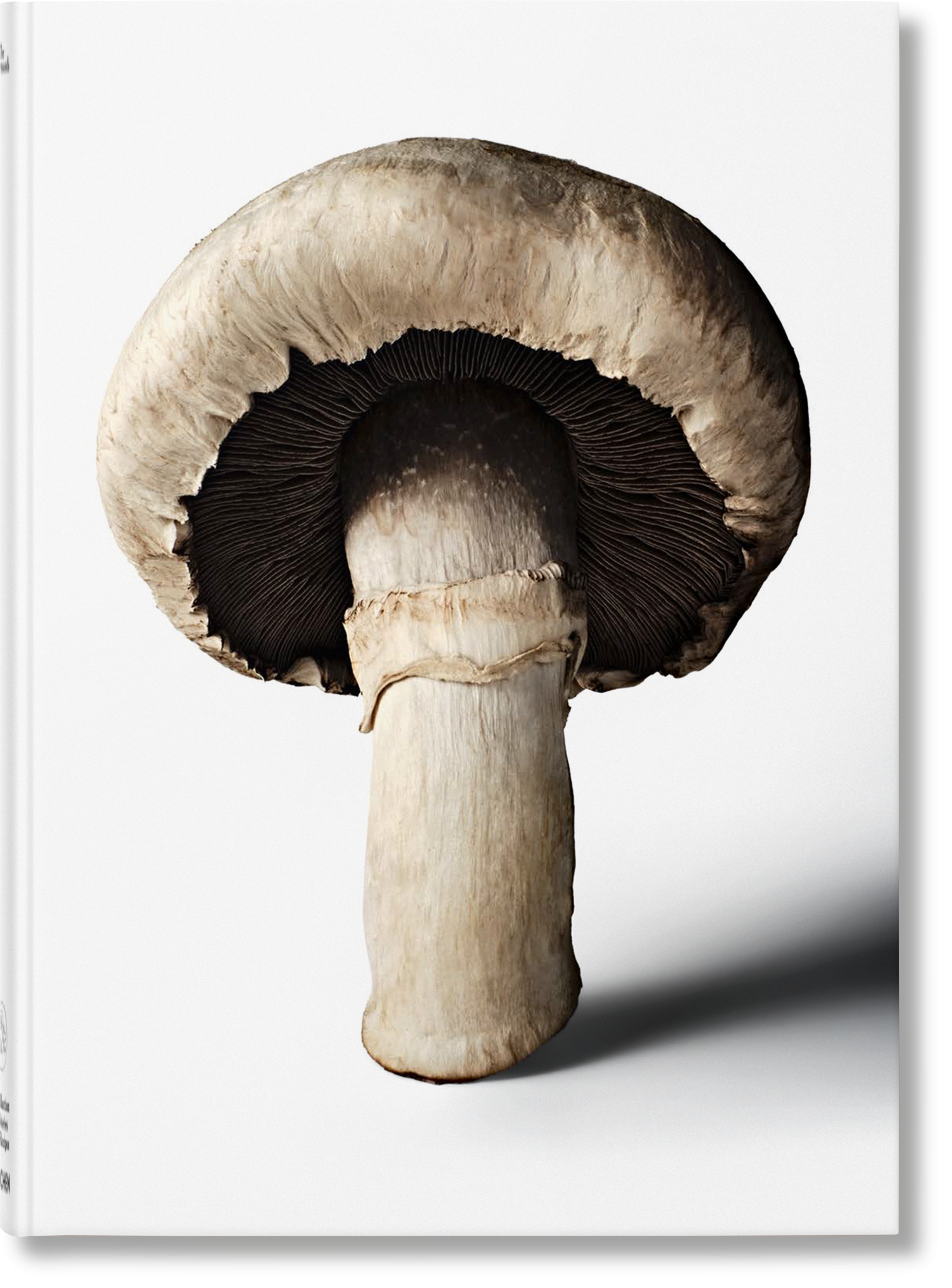 The Gourmand's Mushroom. A Collection of Stories and Recipes