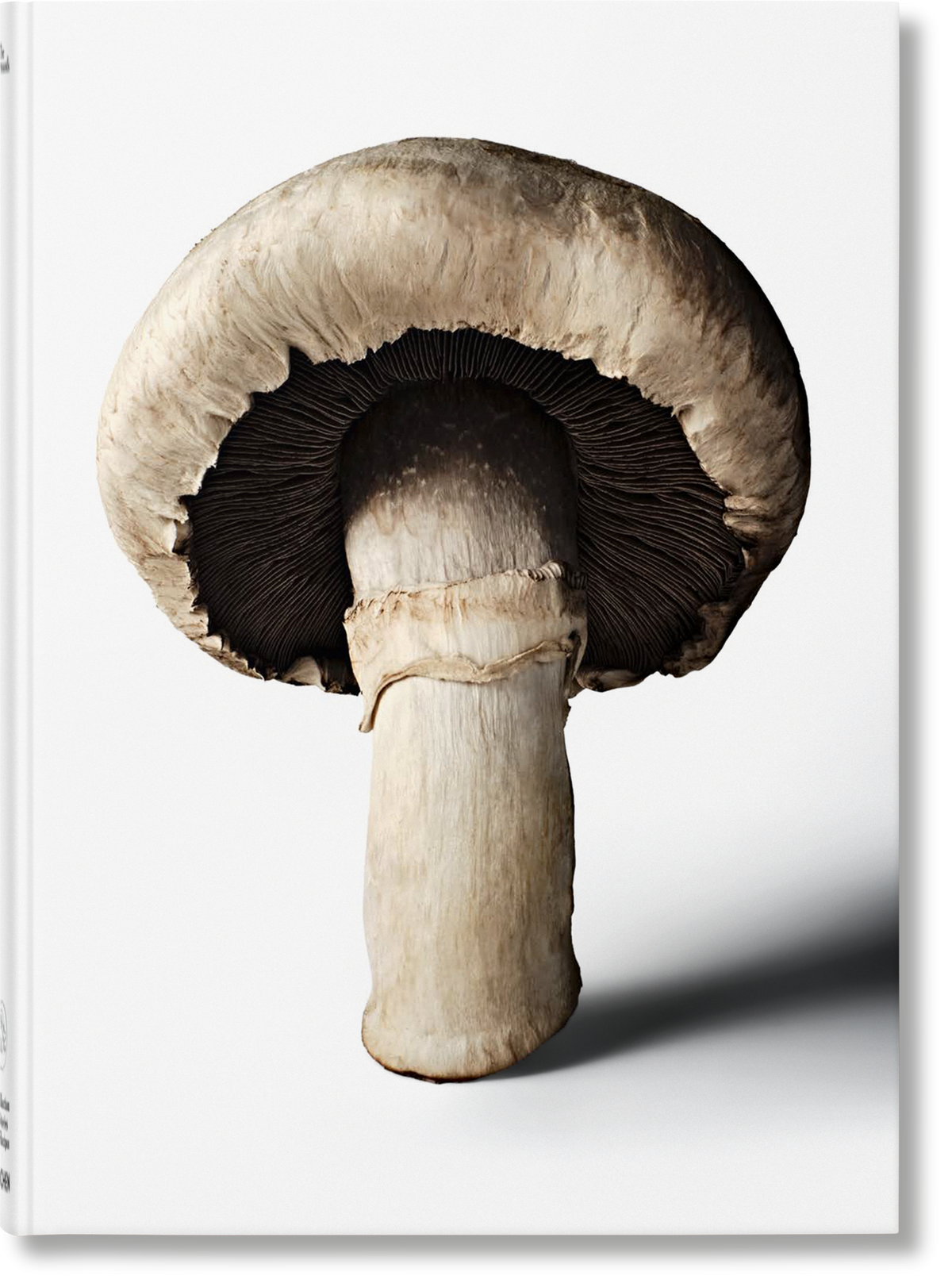 The Gourmand's Mushroom. A Collection of Stories and Recipes