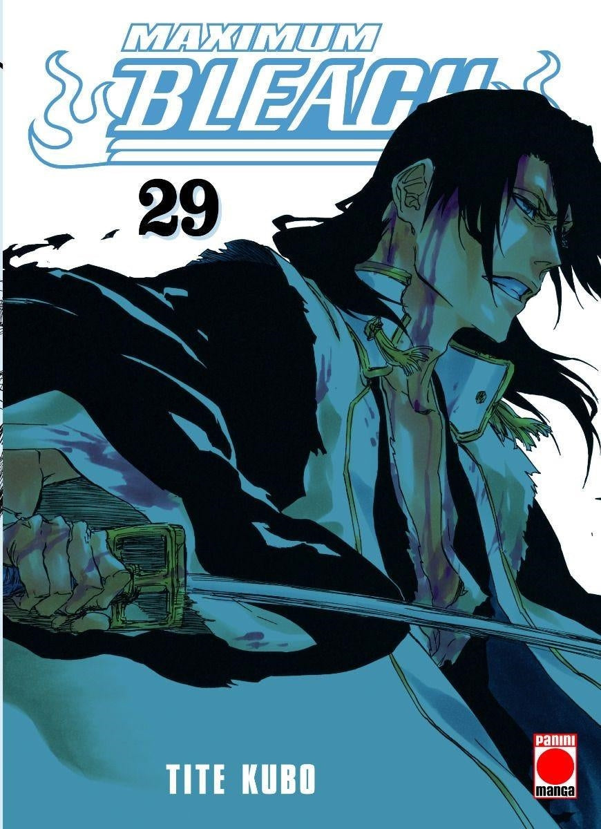 MAXIMUM BLEACH N.29 Imagen principal del producto