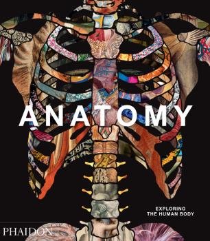 ANATOMY EXPLORING THE HUMAN BODY - 9780714879888 Imagen principal del producto