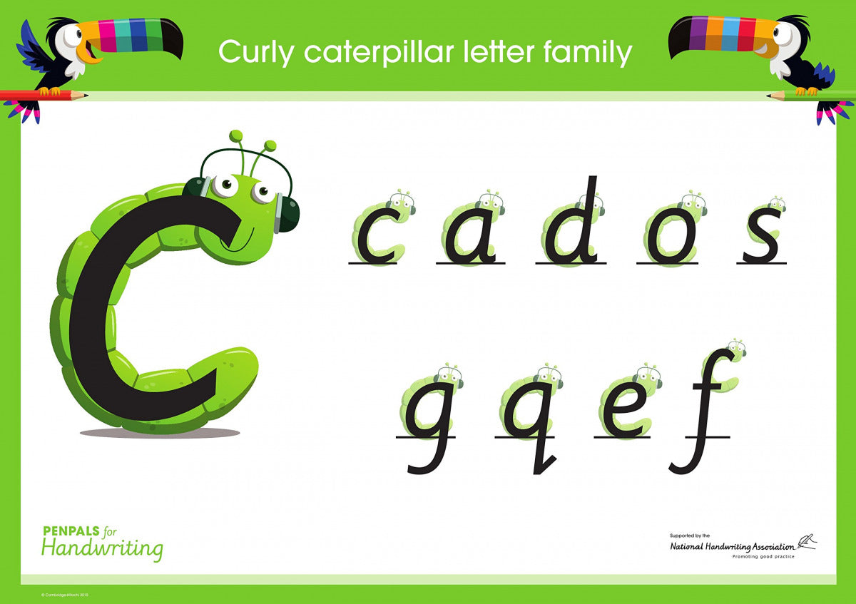 Penpals Handwriting Poster Pk (8) 2Ed