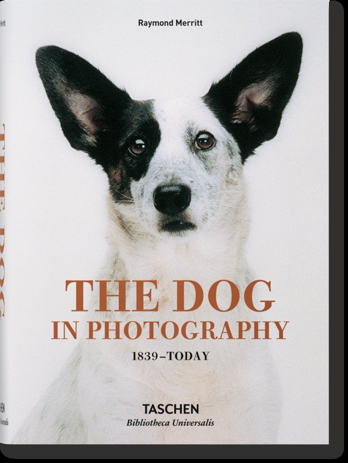 DOG IN PHOTOGRAPHY 1839 TODAY ALFRIN - 9783836567473 Imagen principal del producto