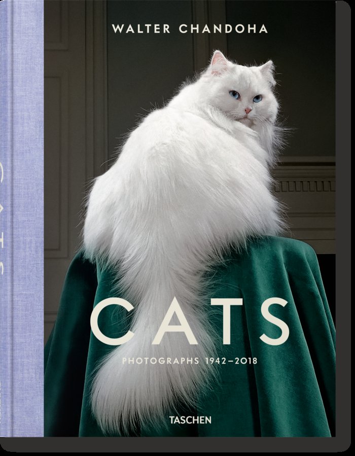 WALTER CHANDOHA CATS PHOTOGRAPHS 1942 2018 - 9783836573856