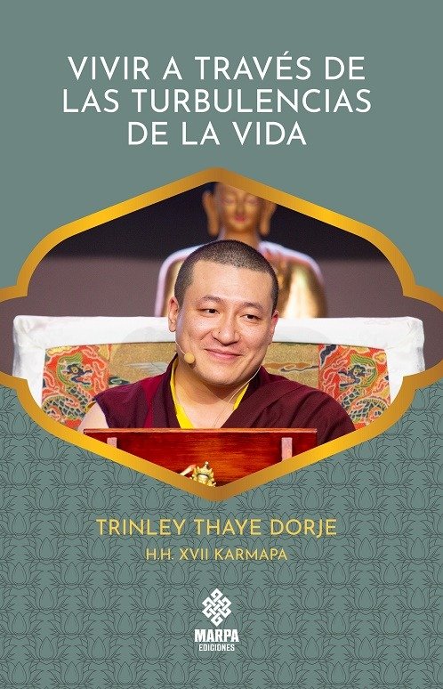 VIVIR A TRAVES DE LAS TURBULENCIAS DE LA VIDA - 9786319005837 Imagen principal del producto