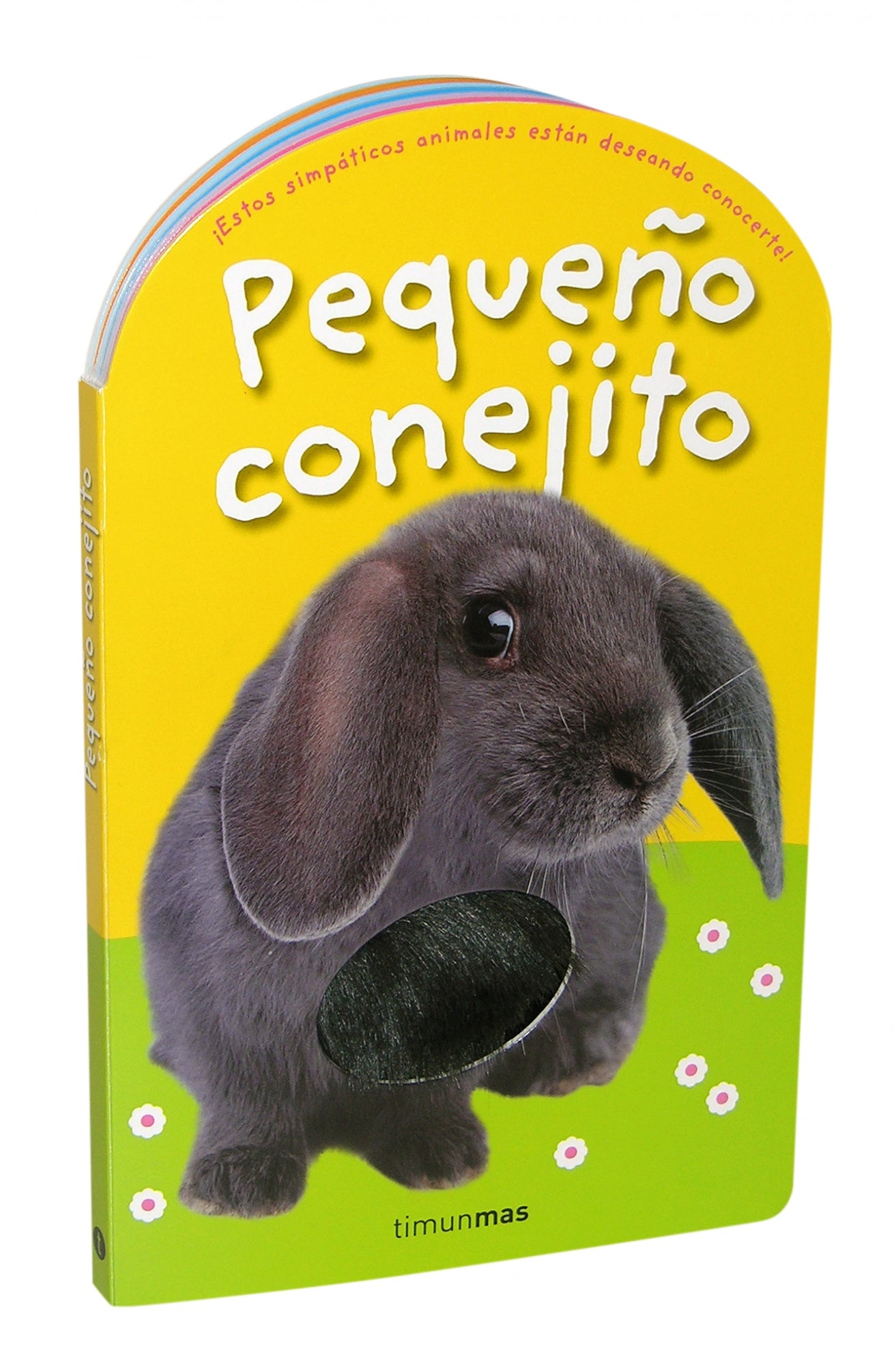 Pequeño conejito: Con texturas en el interior Imagen principal del producto